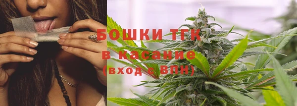 ПСИЛОЦИБИНОВЫЕ ГРИБЫ Горняк