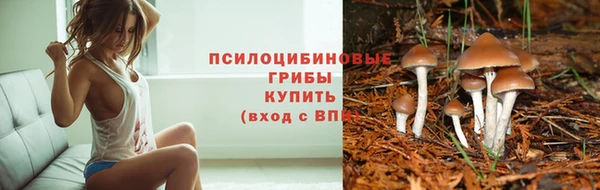 apvp Няндома