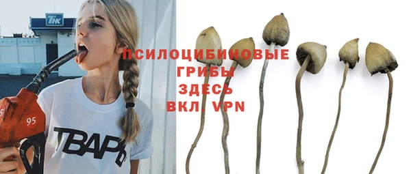 apvp Няндома