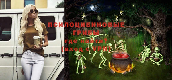 apvp Няндома