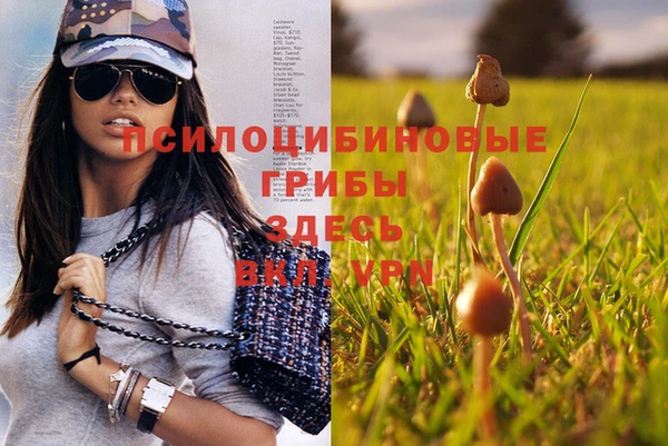 apvp Няндома