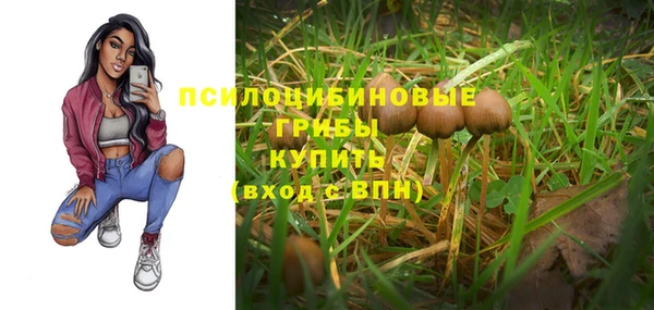 apvp Няндома