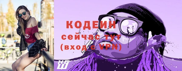 apvp Няндома