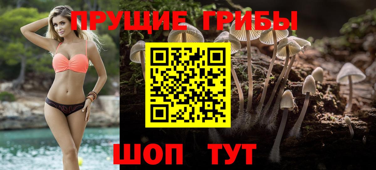Псилоцибиновые грибы Psilocybe  Галлюциногенные грибы Magic Shrooms  Кореновск  Вход с VPN 